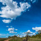 Serengeti NP