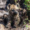 Serengeti NP