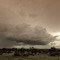 Central Serengeti, Serengeti NP