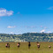 Western Corridor, Serengeti NP